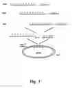 Fig. 08 - Trimerising module