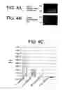 Fig. 04 - Selective isolation and concentration of nucleic acids from complex samples