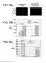 Fig. 06 - Selective isolation and concentration of nucleic acids from complex samples
