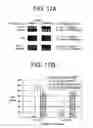 Fig. 19 - Selective isolation and concentration of nucleic acids from complex samples