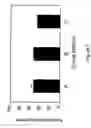 Fig. 06 - MICROEMULSIONS AS PRECURSORS TO SOLID NANOPARTICLES