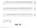 Fig. 04 - Connective Tissue Growth Factor-2
