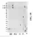 Fig. 03 - Nucleic acid molecules encoding a novel ectoparasite saliva protein
