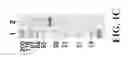 Fig. 04 - Nucleic acid molecules encoding a novel ectoparasite saliva protein