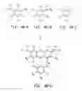 Fig. 06 - ENERGY TRANSFER DYES WITH ENHANCED FLUORESCENCE