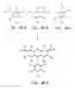 Fig. 07 - ENERGY TRANSFER DYES WITH ENHANCED FLUORESCENCE