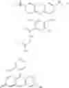 Fig. 87 - ENERGY TRANSFER DYES WITH ENHANCED FLUORESCENCE