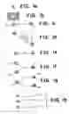 Fig. 02 - Assays employing randomly distributed microbeads with attached biomolecules