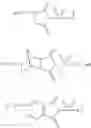 Fig. 24 - N-sulfonyldicarboximide containing tethering compounds