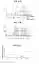 Fig. 23 - Method of inspecting a DNA chip and apparatus thereof