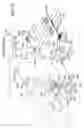 Fig. 47 - Method of inspecting a DNA chip and apparatus thereof