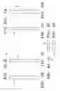 Fig. 04 - Multi-array systems and methods of use thereof