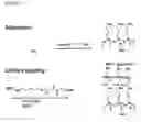 Fig. 06 - Massively parallel synthesis of biopolymeric arrays