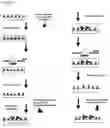 Fig. 08 - Massively parallel synthesis of biopolymeric arrays