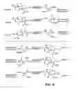 Fig. 14 - Novel antibacterial agents