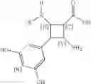Fig. 45 - Novel antibacterial agents