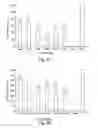 Fig. 07 - Expanding the eukaryotic genetic code