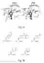 Fig. 09 - Expanding the eukaryotic genetic code