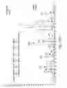 Fig. 16 - Expanding the eukaryotic genetic code