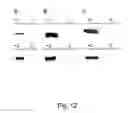 Fig. 22 - Expanding the eukaryotic genetic code