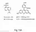 Fig. 23 - Expanding the eukaryotic genetic code