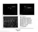 Fig. 20 - Multiplex in situ immunohistochemical analysis