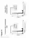 Fig. 17 - Bcl-2 promoted cell death