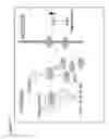 Fig. 24 - Bcl-2 promoted cell death
