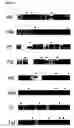 Fig. 03 - Method of diagnosing myasthenia gravis and kits therefor