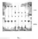 Fig. 02 - Method and device for detecting biologically active substances