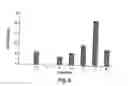 Fig. 07 - Insulin-producing cells derived from stem cells