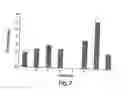 Fig. 08 - Insulin-producing cells derived from stem cells