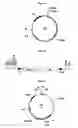 Fig. 03 - Mammalian cell lines modified for the production of recombinant glycoproteins