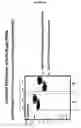 Fig. 28 - Compositions and methods for the preparation of protease resistant human growth hormone glycosylation mutants