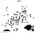 Fig. 03 - Development of human monoclonal antibodies and uses thereof