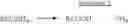 Fig. 03 - Nucleic acid fragments encoding nitrile hydratase and amidase enzymes from 5-MGAM-4D and recombinant organisms expressing those enzymes useful for the production of amides and acids