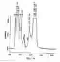 Fig. 02 - Method for the production and purification of adenoviral vectors