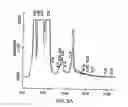 Fig. 05 - Method for the production and purification of adenoviral vectors