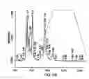 Fig. 11 - Method for the production and purification of adenoviral vectors
