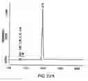 Fig. 43 - Method for the production and purification of adenoviral vectors