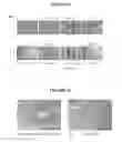 Fig. 07 - EXTRACELLULAR MATRIX COMPONENTS FOR EXPANSION OR DIFFERENTIATION OF HEPATIC PROGENITORS