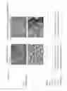 Fig. 10 - EXTRACELLULAR MATRIX COMPONENTS FOR EXPANSION OR DIFFERENTIATION OF HEPATIC PROGENITORS