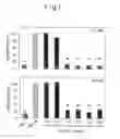 Fig. 02 - Pluripotent stem cell growing method