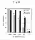 Fig. 08 - Pluripotent stem cell growing method
