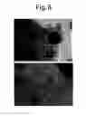 Fig. 10 - Pluripotent stem cell growing method