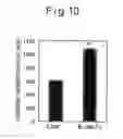 Fig. 12 - Pluripotent stem cell growing method
