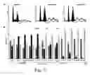 Fig. 04 - Methods for increasing efficiency of homologous recombination