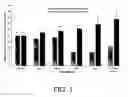 Fig. 06 - Methods for increasing efficiency of homologous recombination