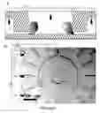 Fig. 02 - Method and apparatus for integrated cell handling and measurements