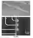 Fig. 07 - Method and apparatus for integrated cell handling and measurements